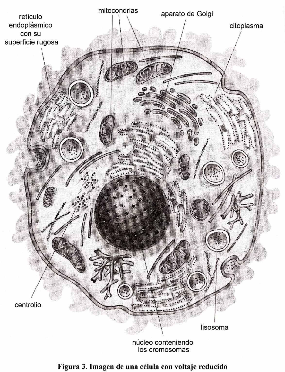 Medicina de la Información — imagen 2