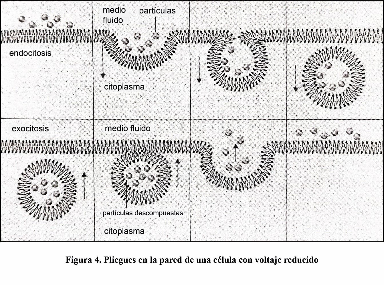Medicina de la Información — imagen 3